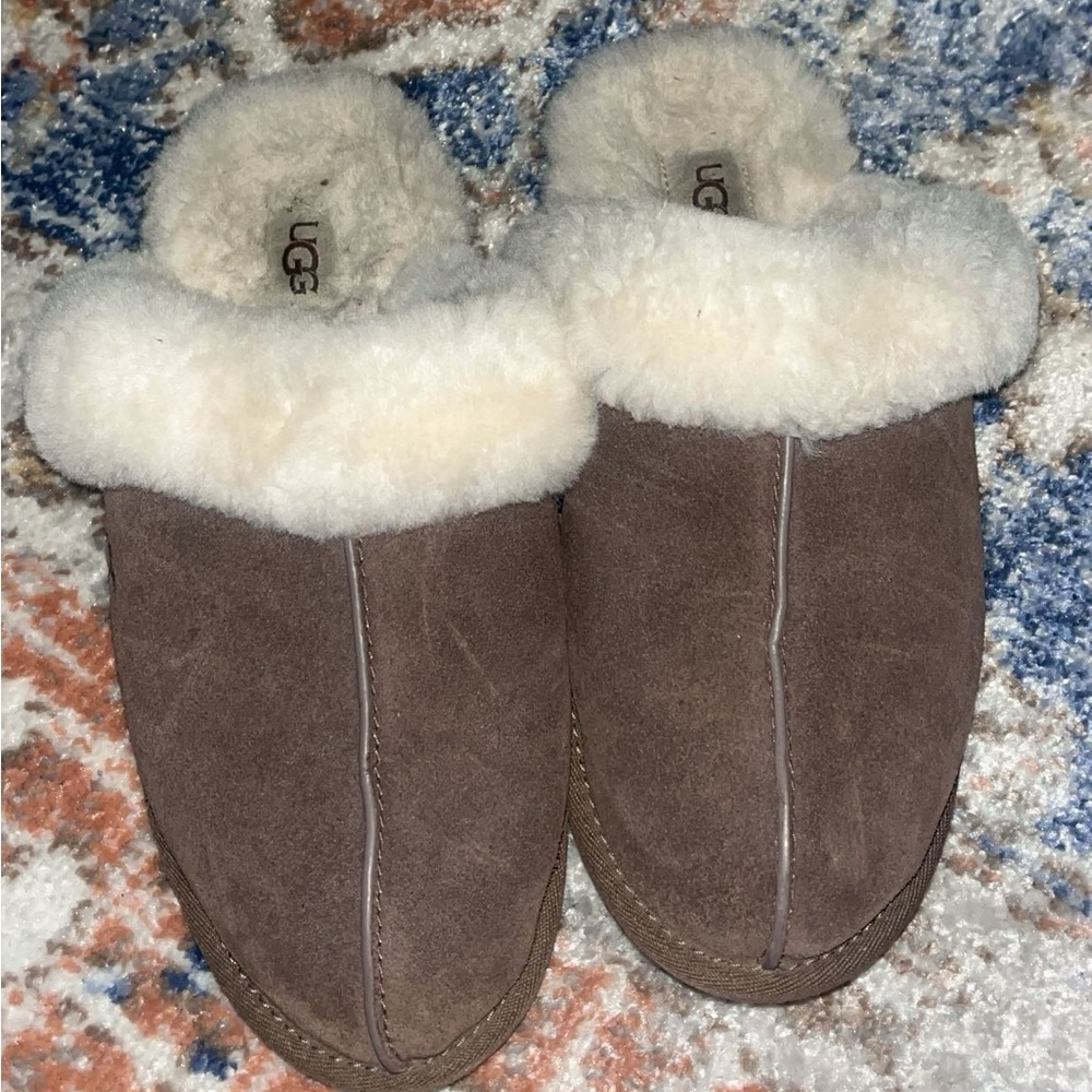 Scuffette Ugg Slippers